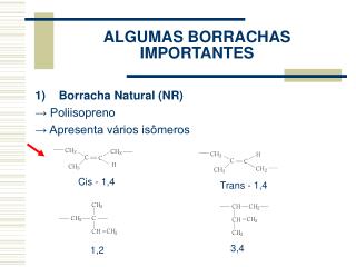 algumas borrachas importantes