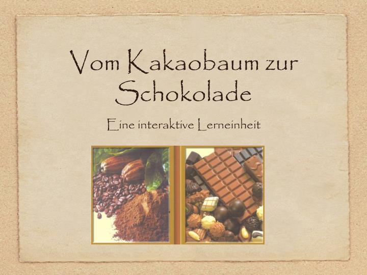 vom kakaobaum zur schokolade