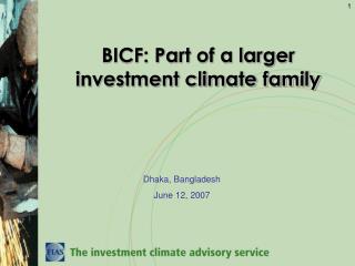 BICF: Part of a larger investment climate family