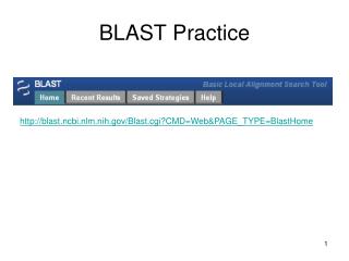 BLAST Practice
