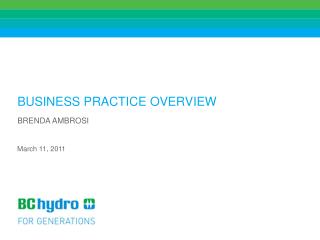 BUSINESS PRACTICE OVERVIEW