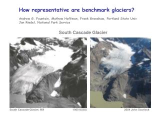 How representative are benchmark glaciers?