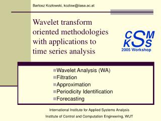 Wavelet transform oriented methodologies with applications to time series analysis