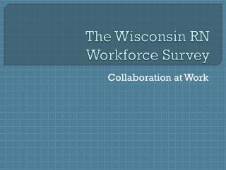 The Wisconsin RN Workforce Survey