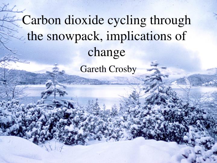 carbon dioxide cycling through the snowpack implications of change