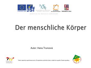 der menschliche k rper
