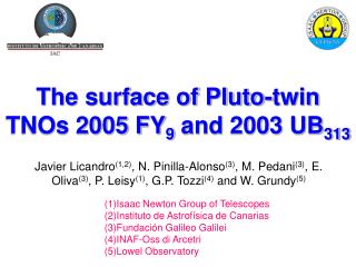 The surface of Pluto-twin TNOs 2005 FY 9 and 2003 UB 313