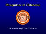 Mosquitoes in Oklahoma - slide 1