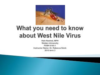 What you need to know about West Nile Virus