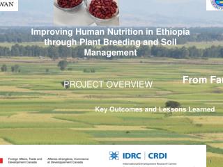 Improving Human Nutrition in Ethiopia through Plant Breeding and Soil Management