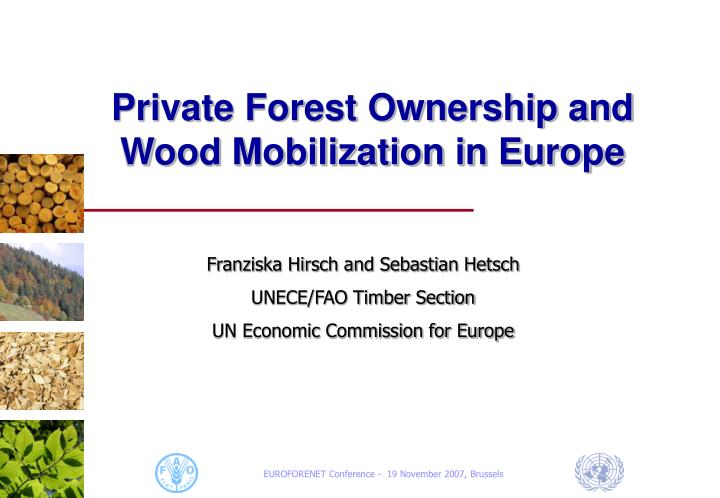 private forest ownership and wood mobilization in europe