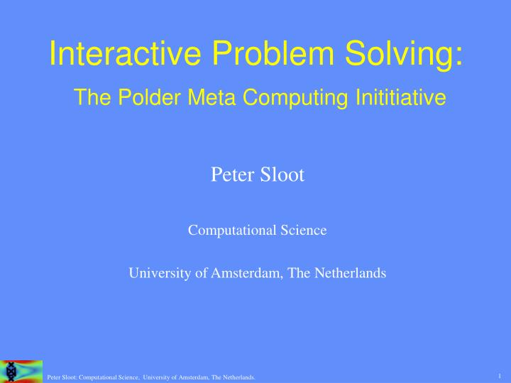 interactive problem solving the polder meta computing inititiative