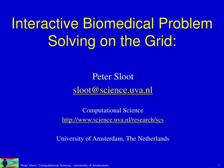 interactive biomedical problem solving on the grid