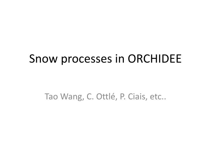 snow processes in orchidee