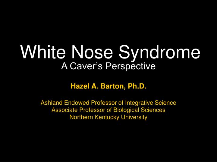 white nose syndrome