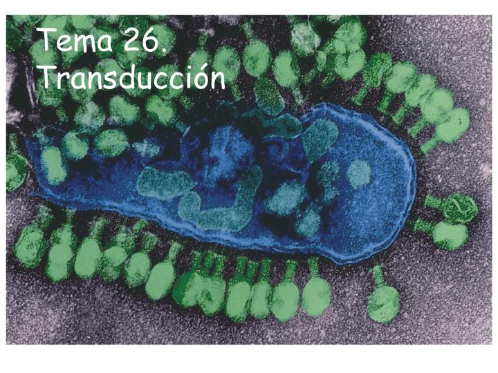 tema 26 transducci n