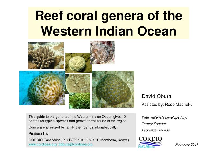 reef coral genera of the western indian ocean