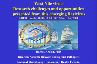 West Nile virus: Research challenges and opportunities presented from this emerging flavivirus
