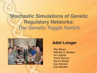 Stochastic Simulations of Genetic Regulatory Networks: The Genetic Toggle Switch