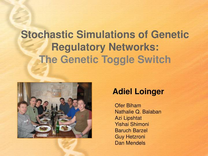 stochastic simulations of genetic regulatory networks the genetic toggle switch