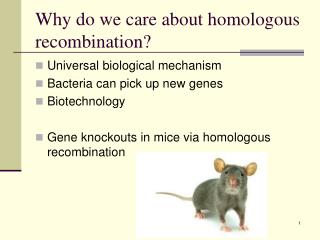 Why do we care about homologous recombination?