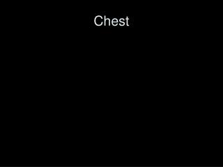 Chest