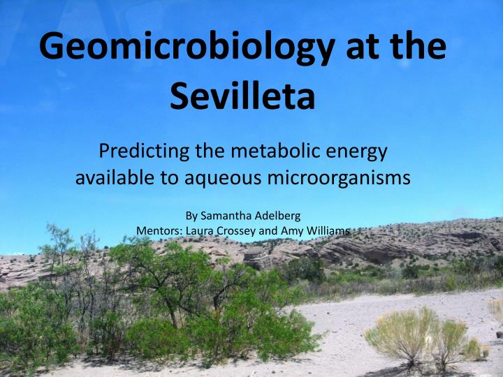 geomicrobiology at the sevilleta