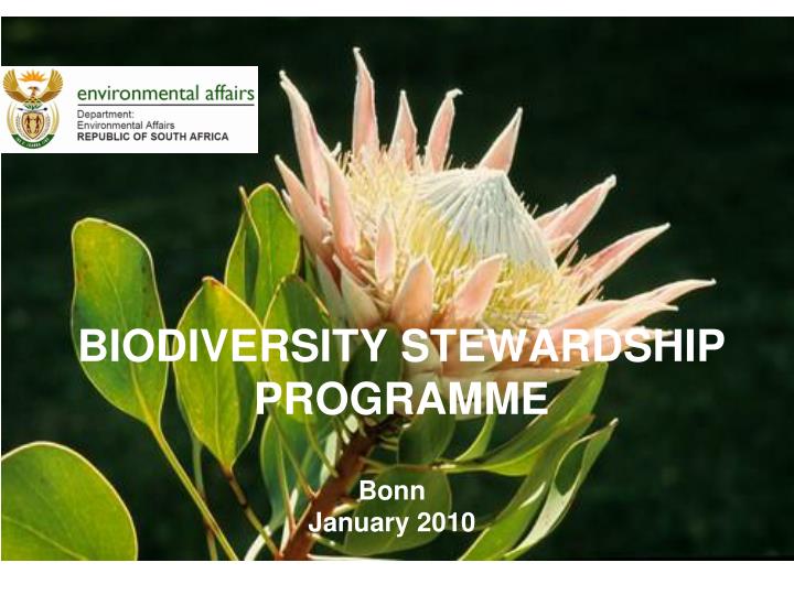 biodiversity stewardship programme