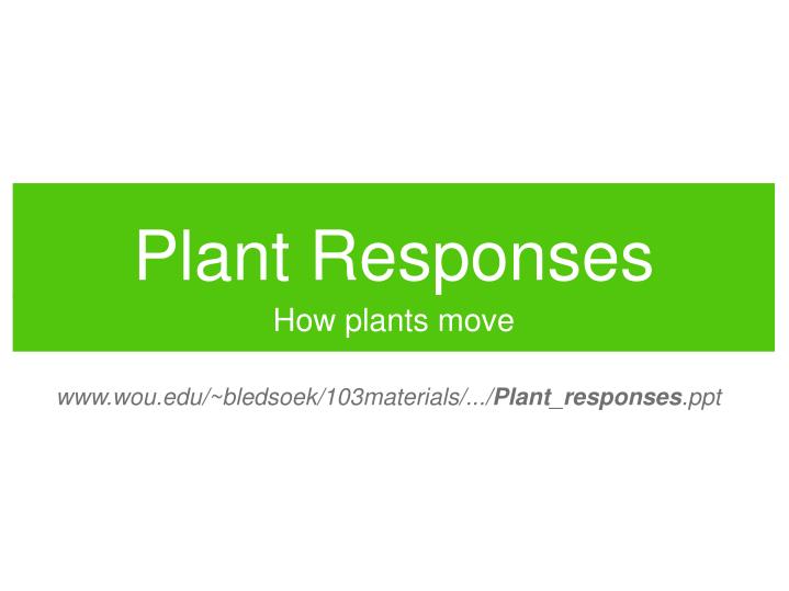 plant responses