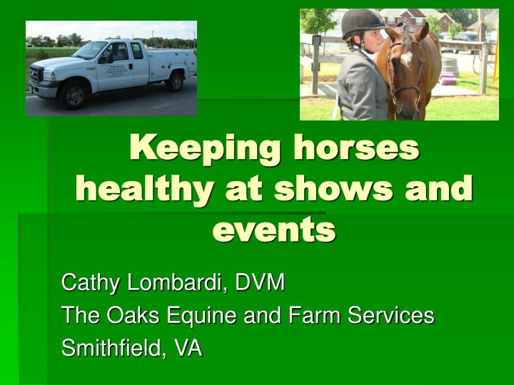 keeping horses healthy at shows and events