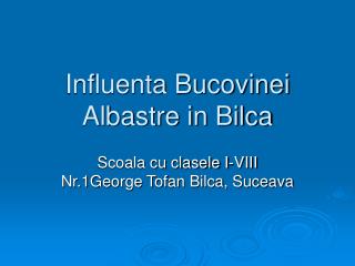 influenta bucovinei albastre in bilca