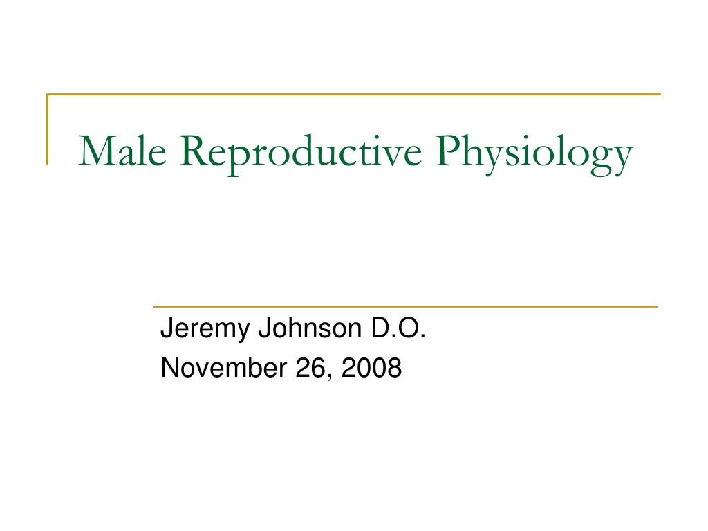 PPT - Male Reproductive Physiology PowerPoint Presentation, free ...