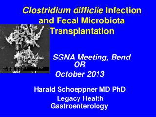Clostridium difficile Infection and Fecal Microbiota Transplantation