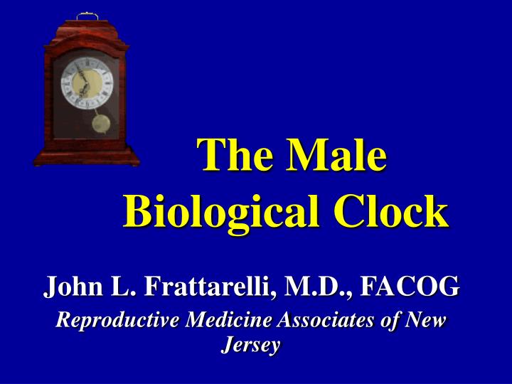 the male biological clock