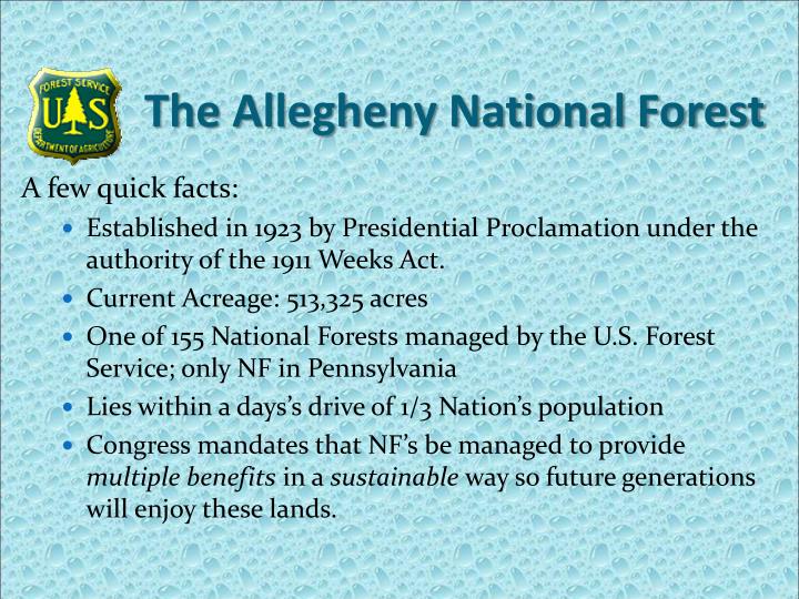 the allegheny national forest