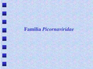 Familia Picornaviridae