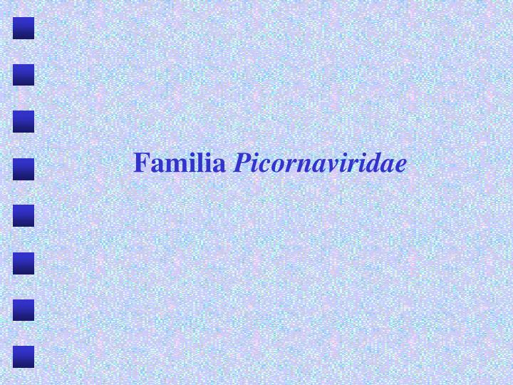 familia picornaviridae