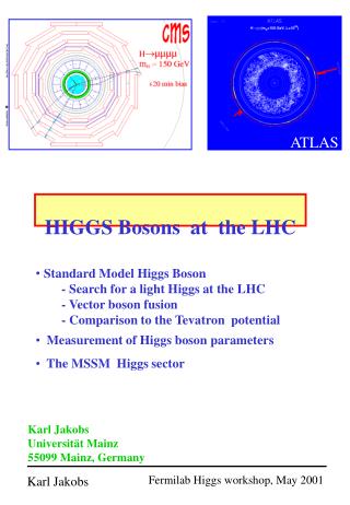 HIGGS Bosons at the LHC