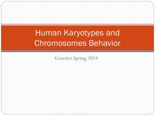 Human Karyotypes and Chromosomes Behavior