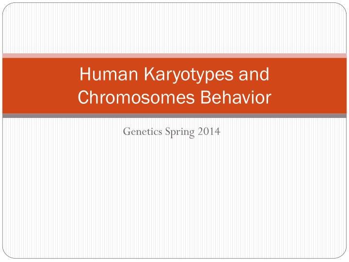 human karyotypes and chromosomes behavior