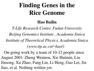 Finding Genes in the Rice Genome