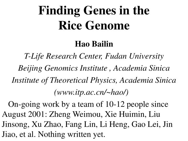 finding genes in the rice genome