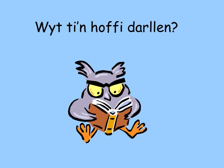 wyt ti n hoffi darllen