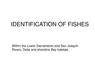 IDENTIFICATION OF FISHES