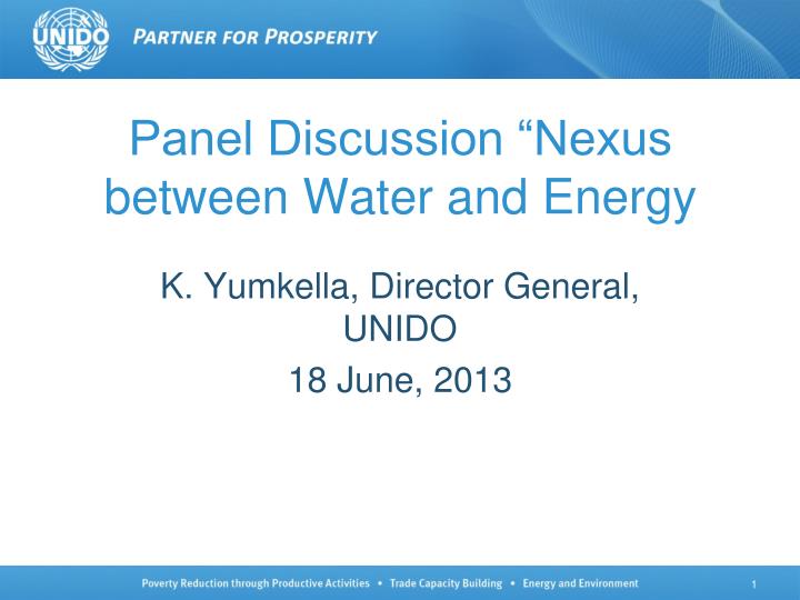 panel discussion nexus between water and energy