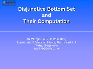 Disjunctive Bottom Set and Their Computation