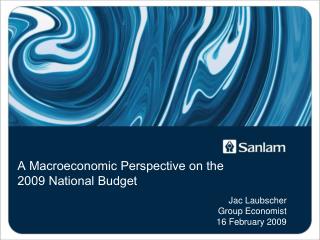 A Macroeconomic Perspective on the 2009 National Budget