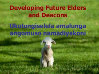 Developing Future Elders and Deacons