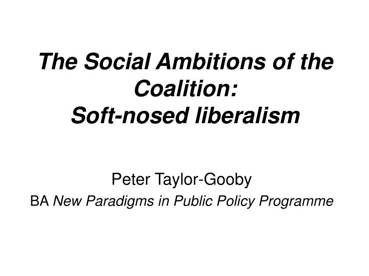 the social ambitions of the coalition soft nosed liberalism