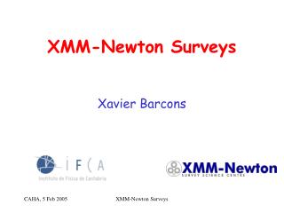 XMM-Newton Surveys